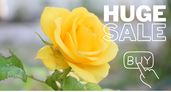 shop hoa tươi gần đây